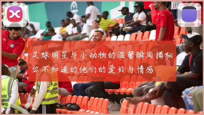 足球明星与小动物的温馨瞬间揭秘你不知道的他们的爱好与情感