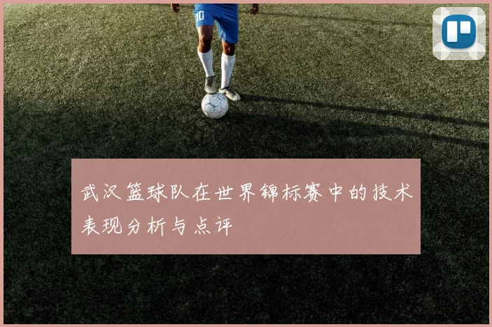 武汉篮球队在世界锦标赛中的技术表现分析与点评