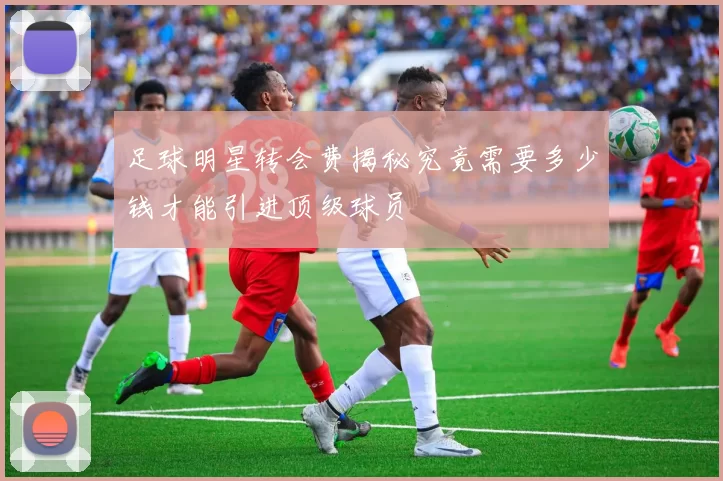 足球明星转会费揭秘究竟需要多少钱才能引进顶级球员