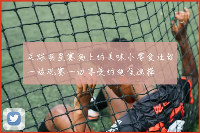 足球明星赛场上的美味小零食让你一边观赛一边享受的绝佳选择