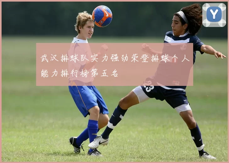 武汉排球队实力强劲荣登排球个人能力排行榜第五名