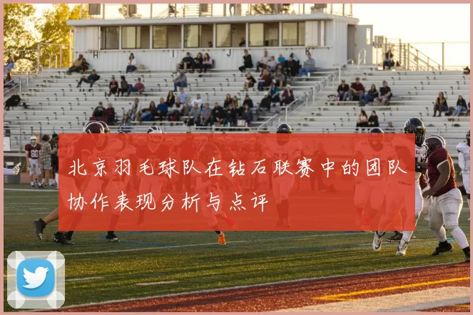 北京羽毛球队在钻石联赛中的团队协作表现分析与点评