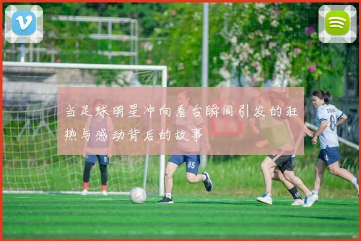 当足球明星冲向看台瞬间引发的狂热与感动背后的故事