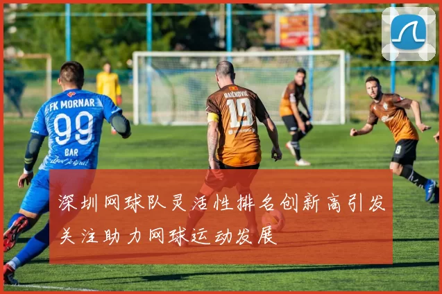 深圳网球队灵活性排名创新高引发关注助力网球运动发展