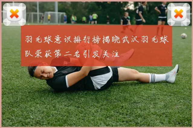 羽毛球意识排行榜揭晓武汉羽毛球队荣获第二名引发关注