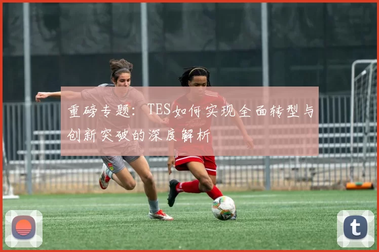 重磅专题：TES如何实现全面转型与创新突破的深度解析
