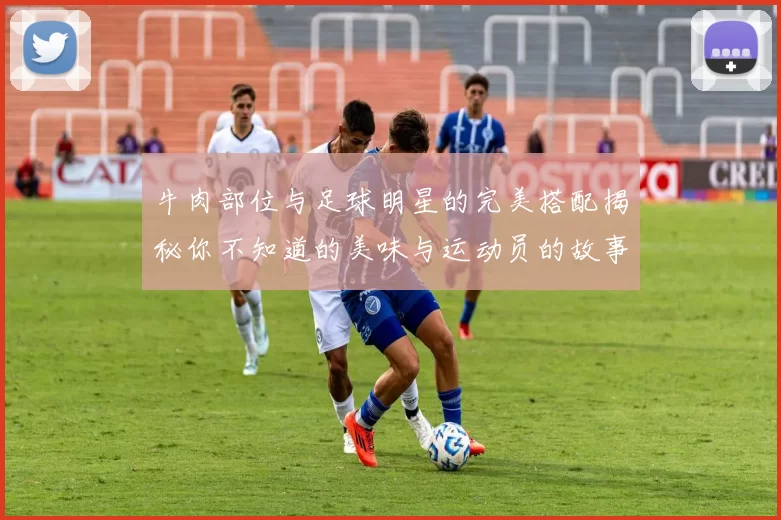 牛肉部位与足球明星的完美搭配揭秘你不知道的美味与运动员的故事