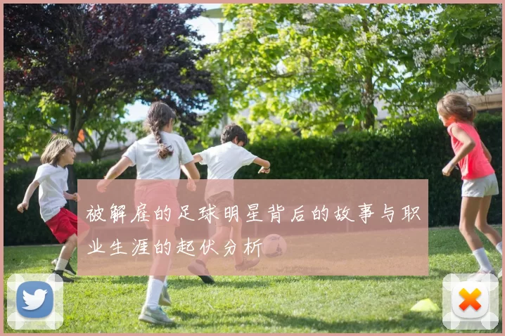 被解雇的足球明星背后的故事与职业生涯的起伏分析