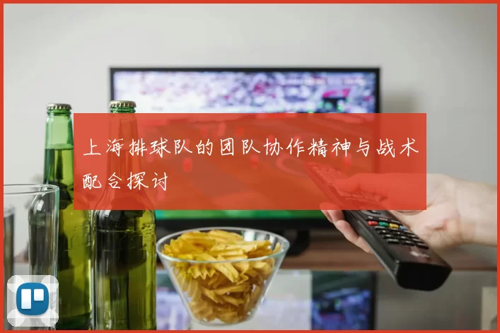上海排球队的团队协作精神与战术配合探讨