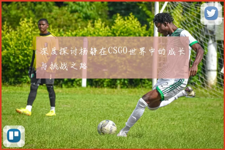 深度探讨杨静在CSGO世界中的成长与挑战之路