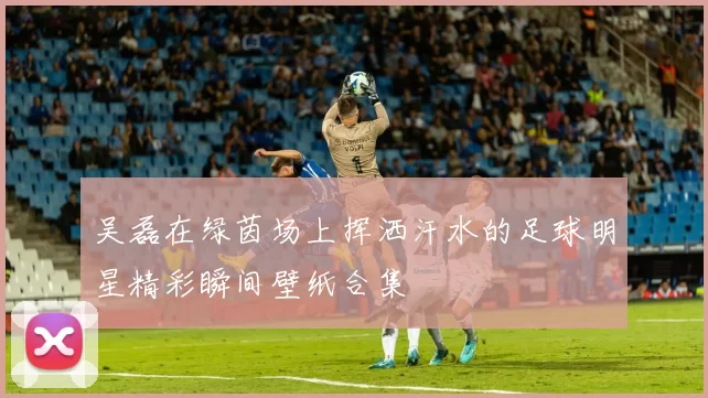 吴磊在绿茵场上挥洒汗水的足球明星精彩瞬间壁纸合集