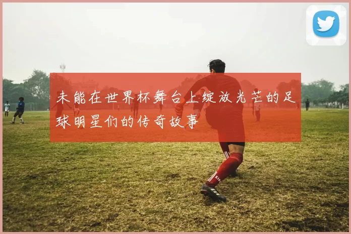 未能在世界杯舞台上绽放光芒的足球明星们的传奇故事