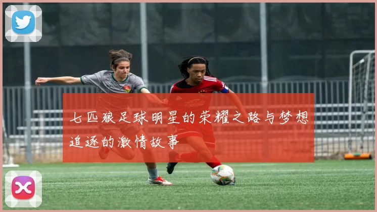 七匹狼足球明星的荣耀之路与梦想追逐的激情故事