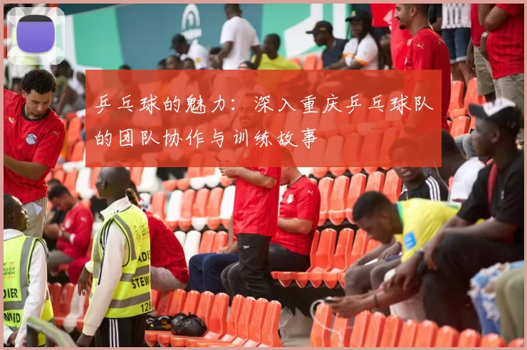 乒乓球的魅力：深入重庆乒乓球队的团队协作与训练故事