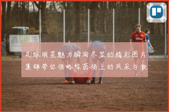 足球明星魅力瞬间尽显的精彩图片集锦带你领略绿茵场上的风采与激情
