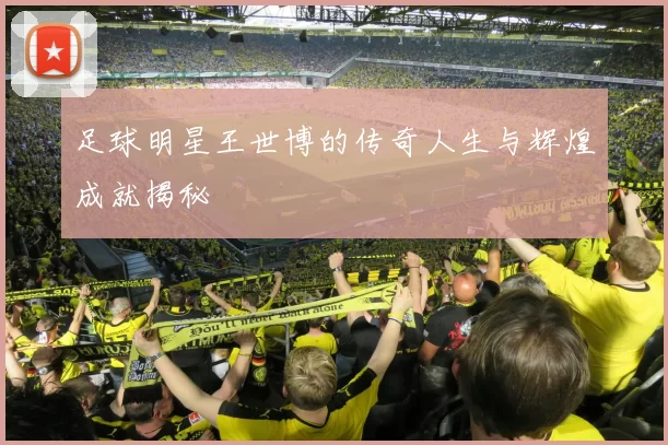 足球明星王世博的传奇人生与辉煌成就揭秘