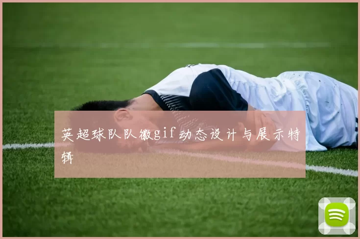 英超球队队徽gif动态设计与展示特辑