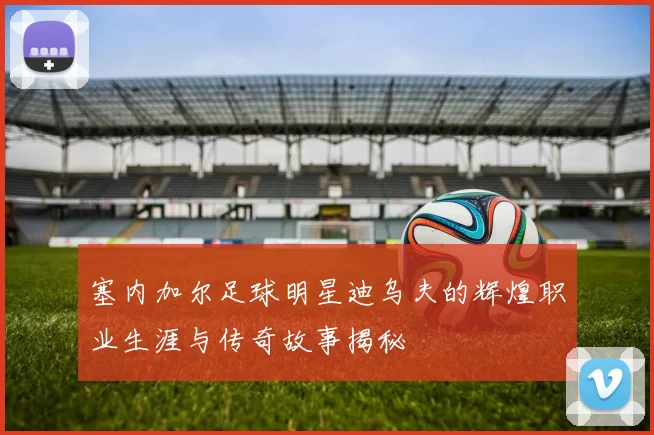 塞内加尔足球明星迪乌夫的辉煌职业生涯与传奇故事揭秘
