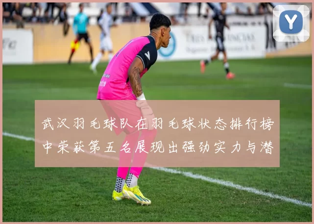 武汉羽毛球队在羽毛球状态排行榜中荣获第五名展现出强劲实力与潜力