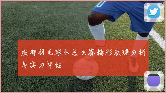 成都羽毛球队总决赛精彩表现分析与实力评估