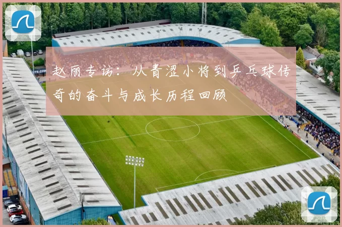 赵丽专访：从青涩小将到乒乓球传奇的奋斗与成长历程回顾