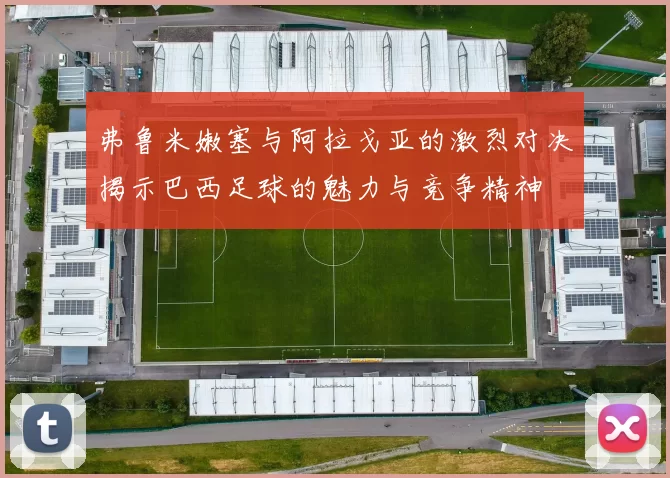 弗鲁米嫩塞与阿拉戈亚的激烈对决揭示巴西足球的魅力与竞争精神