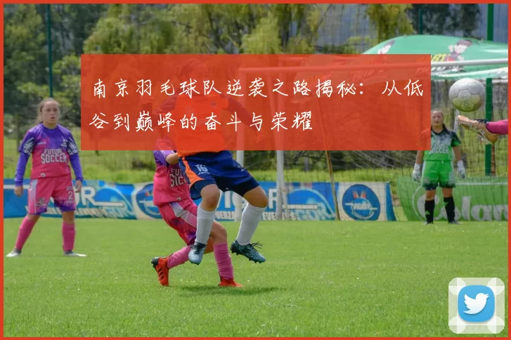 南京羽毛球队逆袭之路揭秘：从低谷到巅峰的奋斗与荣耀