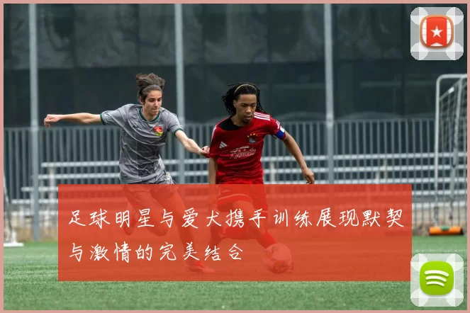 足球明星与爱犬携手训练展现默契与激情的完美结合